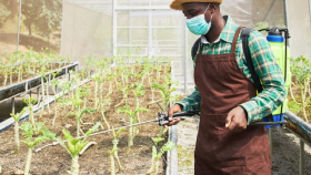 В Зимбабве освоили особую технологию производства азотных удобрений